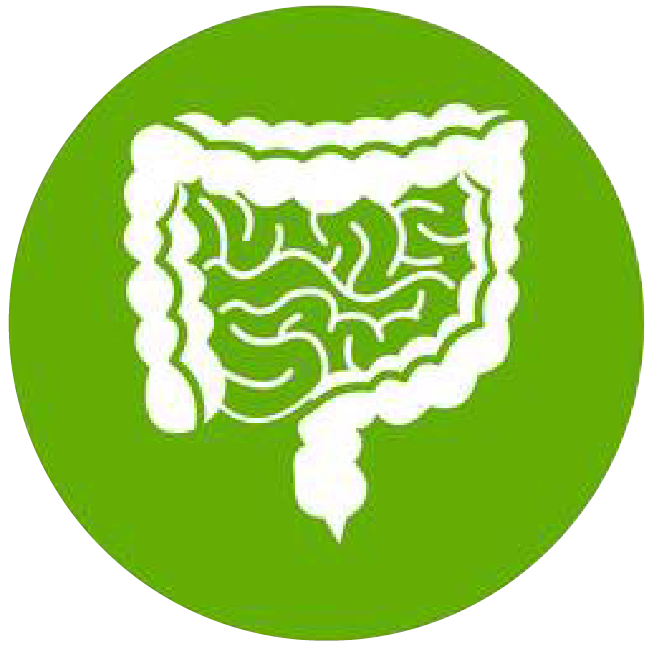 關注職場“腸”態(tài),守護員工健康——上海格瑞特特邀消化內科專家公益系列講座(4)(圖1)